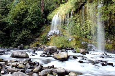 Waterfall Wallpapers