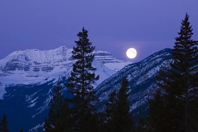 Desktop Fun: Moonlit Nights Wallpapers Collection Series 2