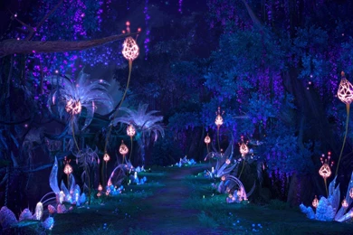 MAGIC NIGHTS WALLPAPER   (