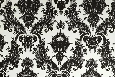 Tempaper Damsel Wallpapers Black And White By Couture Deco