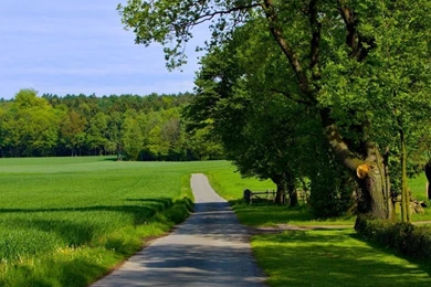 NATURE WALLPAPER HD 1024X768