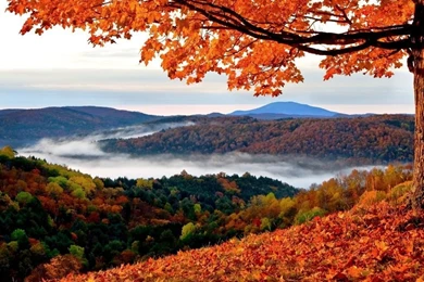 1024x768 Red Autumn Wallpapers