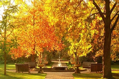 Garden Autumn Wallpapers