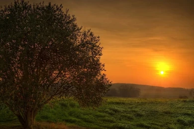 HD Nature Wallpapers