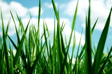 Nature Wallpapers 1024x768 Wallpapers, 1024x768 Wallpapers ...