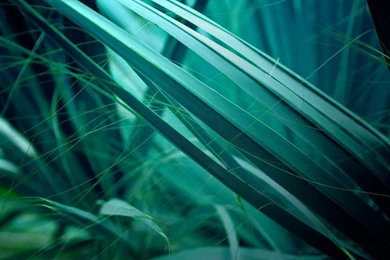 1024x600 Zixpk Hd 233 Ll Dump Some Of My