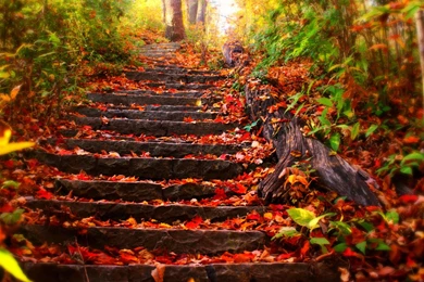 Autumn Wallpapers 1024X768   1771243