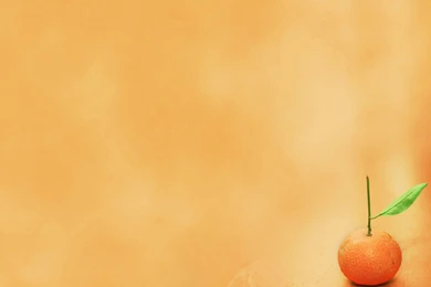 Gallery For Backgrounds Plain Designs