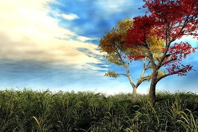 Free Downloadable 3d Wallpapers: 3D By Free Download Best HD ...