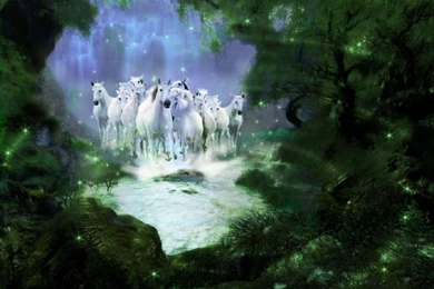 High Definition Wallpapers 1080p,Download High Definition ...