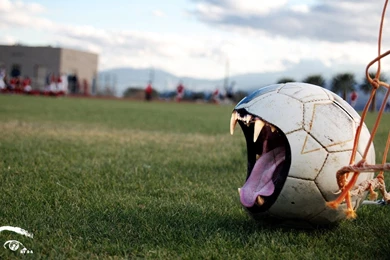 Widescreen Soccer Sweaty Gooch Wallpapers