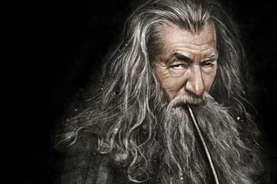 40070_the_lord_of_the_rings_gandalf.jpg