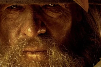 Gandalf 640x1136.jpg