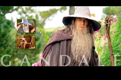Gandalf   Gandalf Wallpapers (11311677)   Fanpop