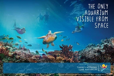 Screensaver And Digital Wallpapers   Campaigns   Tourism Australia