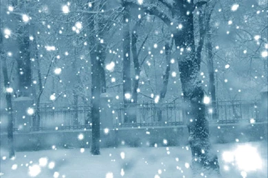 Winter Park Wallpapers   Crazy Frankenstein