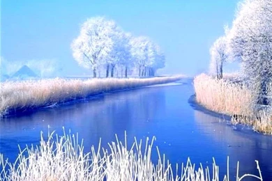 Top Wallpapers Winter Snow Trees Images For Pinterest