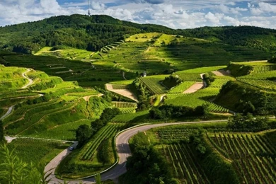 Images Of Natural   All Wallpapers New