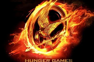 Hunger Games Mockingjay 1 12 Desktop Backgrounds   Hivewallpaper.com