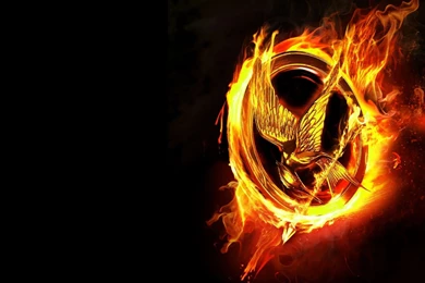 The Hunger Games Desktop Wallpapers , New Wallpapers, New Wallpapers