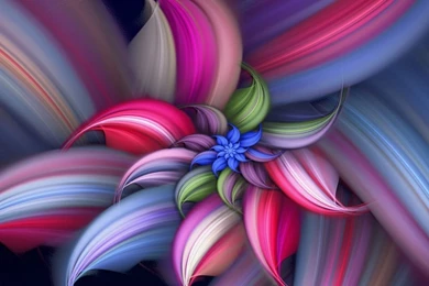 Download Abstract Beautiful Flower Wallpapers