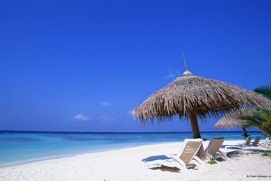 Free Wallpapers   Free Travel Wallpapers   Maldives Beach Wallpapers ...