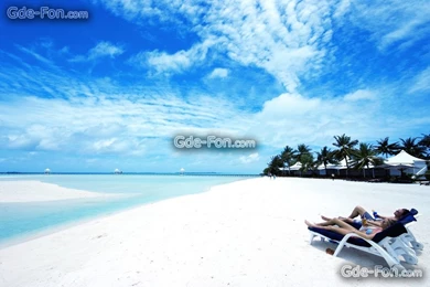 530807_maldives_beach_palm trees_4246x2835_www.Gde Fon.com.jpg