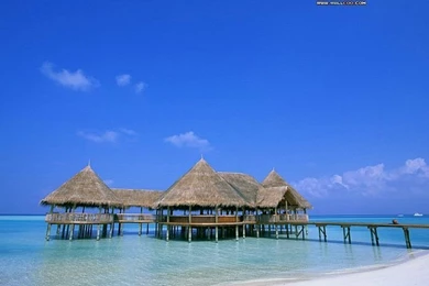 Maldives Pictures   Maldives Beach Wallpaper10   Wallcoo.net