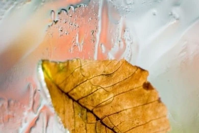 Galaxy S3 Wallpapers HD   Beautiful, Stunning Wallpapers