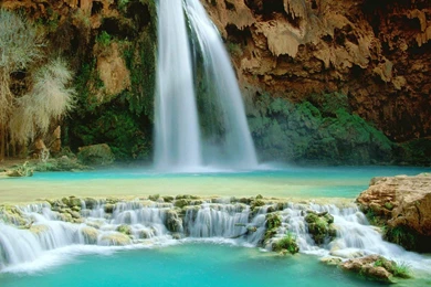 Nature Background Wallpapers 6.jpg