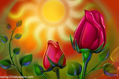 Rose Flower Wallpapers For Desktop