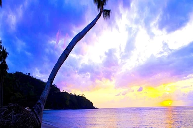 Nature Wallpapers, Nature Backgrounds, Widescreen, Wallpapers Of ...