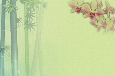 My Wallpapers 1 Fading Bamboo And Orchid By SugeeTyler On DeviantArt