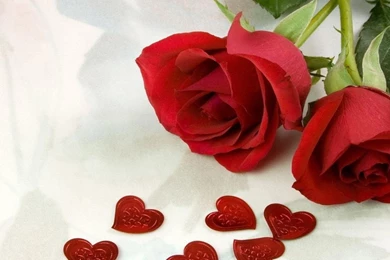 Valentine Roses Wallpapers   HD Wallpapers Lovely