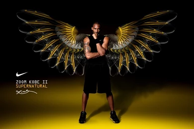 Amazing Basketball Pictures   Wallpapers HD Fine