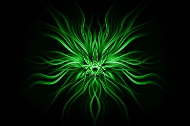 Green Computer Wallpapers, Desktop Backgrounds