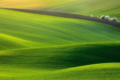 Top For Green Nature Landscape Images For Pinterest