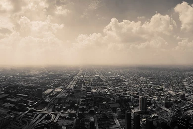 Hd Wallpapers For Mac 1920x1080   Wallpapers Animal Hd