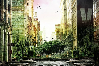 High Resolution Wallpapers 1920X1080   1797904