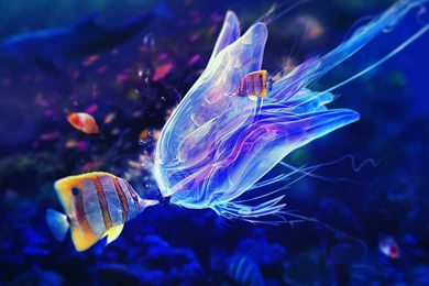 Animal HD Wallpapers 1080p ~ Wallpapers Hd 1080p