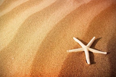 Top Cartoon Beach Sand For Images For Pinterest