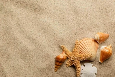Sand Hd Wallpapers Tag Page 0 Beach Sand Hd Beach Sand
