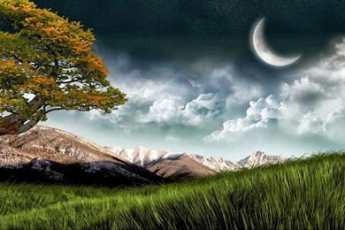 Wallpapers Joo: 3D Nature Full HD Wallpapers