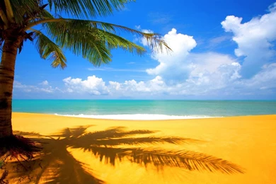 Golden Sand Beach Wallpaper.jpg