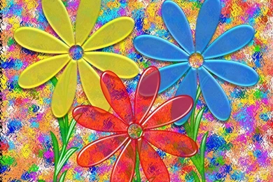 Colorful Daisies HD Wallpapers