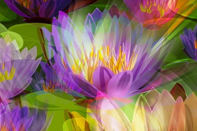 Download Wallpapers 1920x1080 Color, Background, Bright, Colorful ...