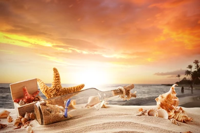 Download Wallpapers Sea, Beach, Sand Box, Shells, Sea, Stars ...