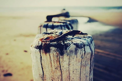 Beach Sand Wood Hd Wallpapers Wallpapers