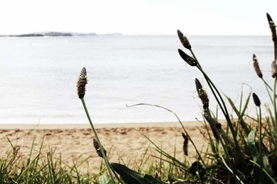 Water Nature Beach Sand Sea Shore Widescreen HD Wallpapers ...