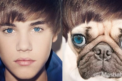 Justin Bieber Wallpapers   HDWall.id